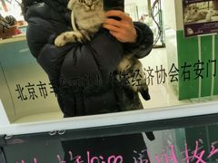 -利又安动物医院··老年病·猫科犬科·中兽医