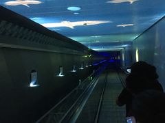 -白鹤梁水下博物馆
