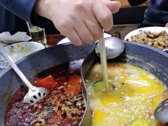 -秦巴石锅鱼(文化南路店)