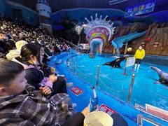 -烟台海昌鲸鲨海洋公园