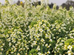 -中国天府农业博览园