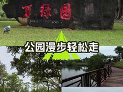 -万绿园