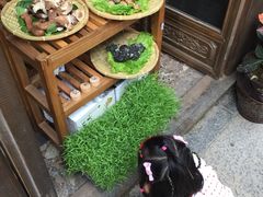 -滇藏石锅宴(崇仁巷老店)