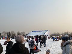 -绿野森林乐园冰雪季