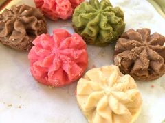 -珍妮曲奇聪明小熊(上环店)