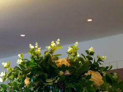 -老客站酒楼(金花南路店)