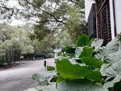 -岳麓山风景名胜区