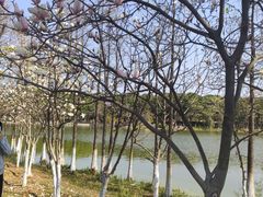 -东莞植物园