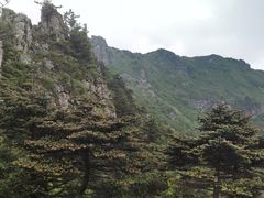 -牛背梁国家森林公园