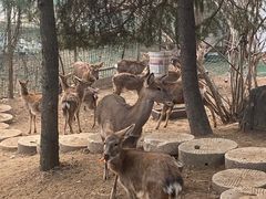 -观唐（国际）度假村温泉