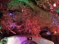 -青藤汗蒸时代会所