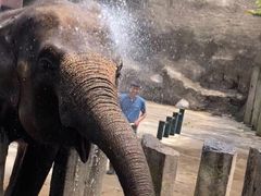 -大连森林动物园