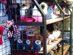 -猫咪博物馆(顶澳仔猫街店)