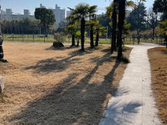 -大宁公园