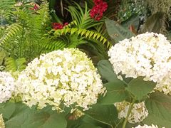 -华南国家植物园-售票处