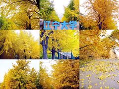 -辽宁大学(崇山校区)