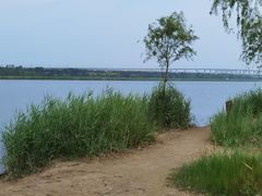 -绿堤公园
