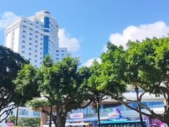 -爱情邮局