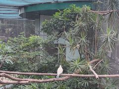 -九龙公园
