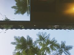 -霸王茶姬(南强街店)