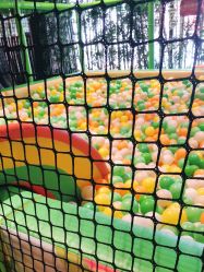 -奇幻丛林(佛罗伦萨小镇店)