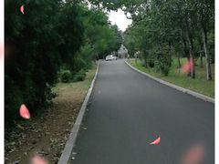 -铁道游击队纪念馆