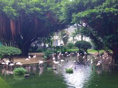 -九龙公园