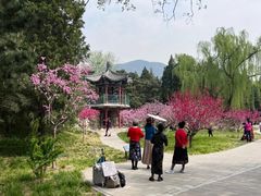 -北京植物园南门售票处