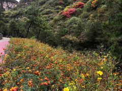 -沕沕水生态风景区