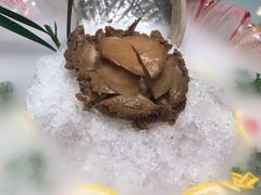 -蝶园·装修中(BFC外滩金融中心店)