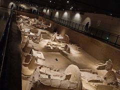 -洛阳周王城天子驾六博物馆