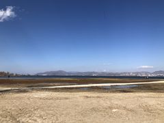 -洱海月湿地公园
