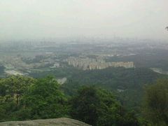 android_upload_pic-火炉山森林公园
