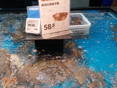 -盒马鲜生(宝地店)