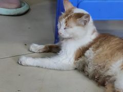 -富记鱼蛋粉(西村店)