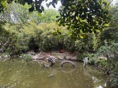 -汇龙潭
