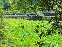 -龙头寺公园