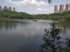 -重庆彩云湖湿地公园