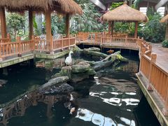 -南宫五洲植物乐园