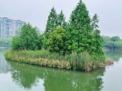 -洋湖国家湿地公园
