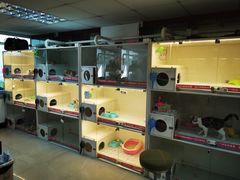 -lincat·猫舍(广州店)
