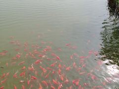 -燕郊植物园
