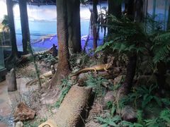-浙江自然博物院(杭州馆)