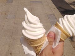 -麦当劳(塔园路店)