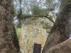 -上坦村