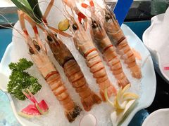 -尚海豆捞(乐虹坊店)