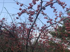 -南通洲际绿博园