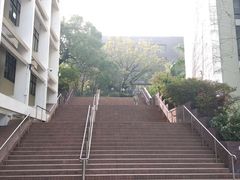 -香港大学