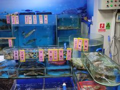 水产区-松雅轩(大源店)