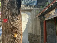 -潭柘寺景区